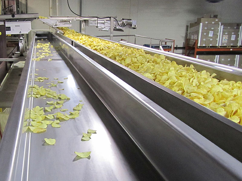 Slipstick Conveyors for the Food Industry - Triple/S Dynamics