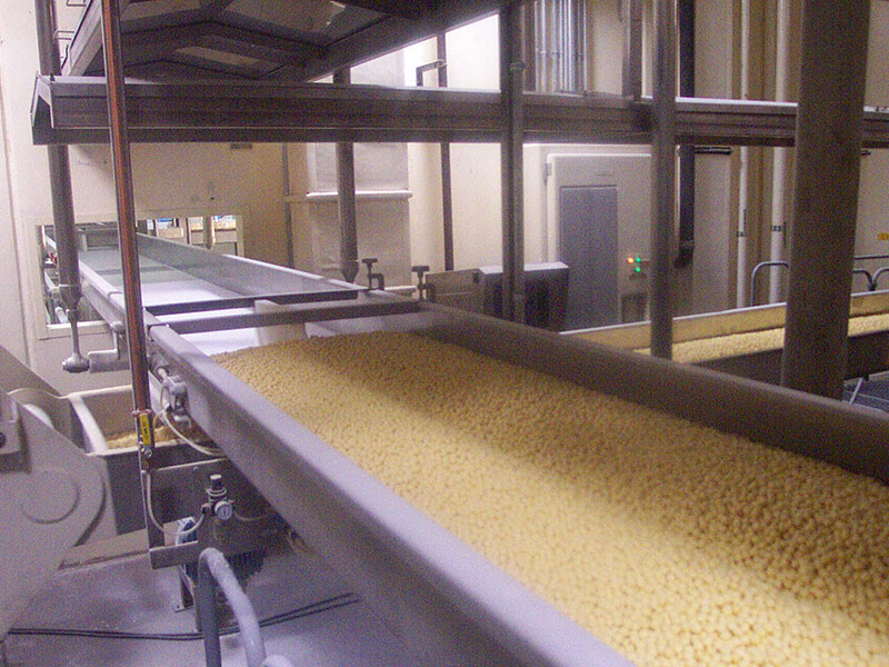 Slipstick Conveyors for the Food Industry - Triple/S Dynamics