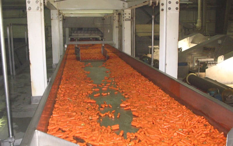 Sanitary Slipstick Conveyor - Food Applications - Triple/S Dynamics