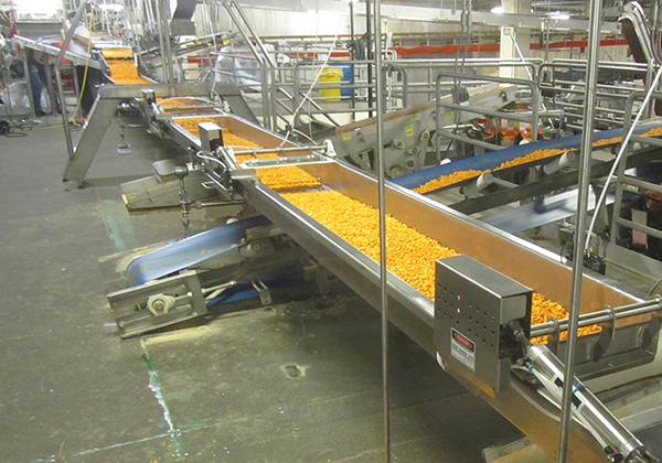 Triple/S Slipstick Conveyor