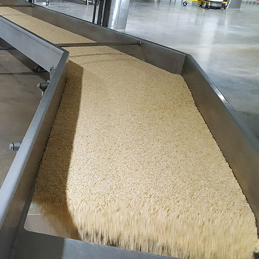 Slipstick Conveyor for Food Products by Triple/S Dynamics