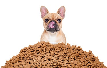 Conveyor Equipment for Pet Food & Treats