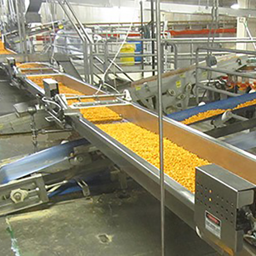 Slip Stick Cover Conveyor - Triple S